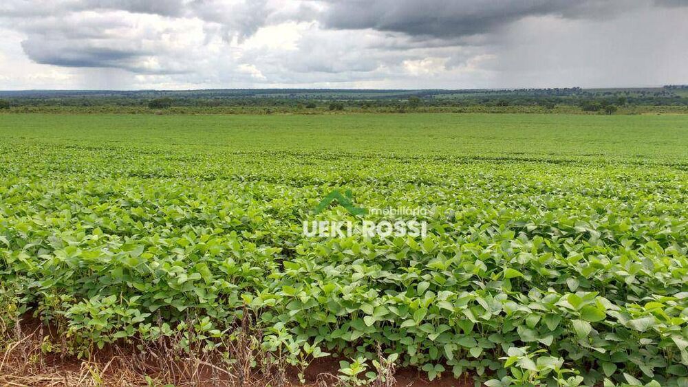 Fazenda à venda, 13840000M2 - Foto 7