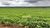 Fazenda-Sítio-Chácara, 1384 hectares - Foto 1