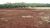 Fazenda-Sítio-Chácara, 1384 hectares - Foto 4