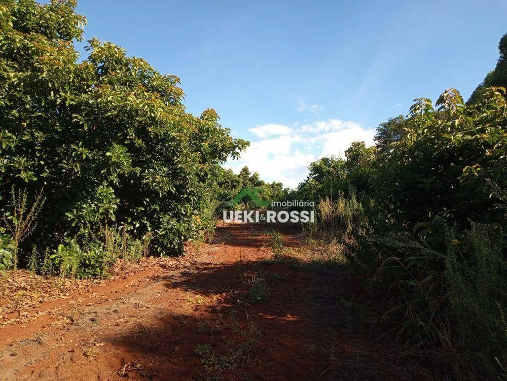 Sítio, 21 hectares - Foto 1