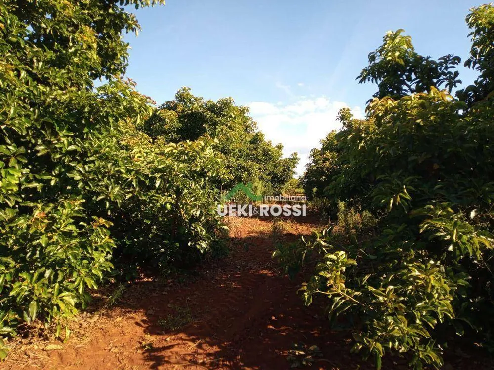 Sítio, 21 hectares - Foto 13