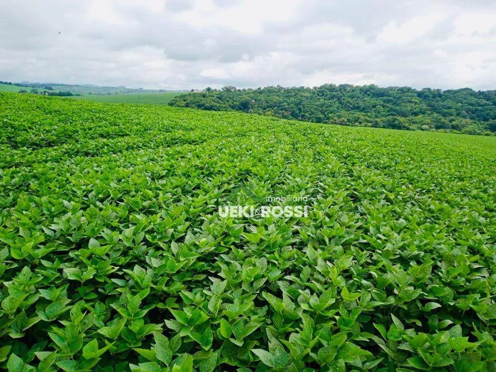 Fazenda, 92 hectares - Foto 1