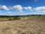 Fazenda-Sítio-Chácara, 327 hectares - Foto 1