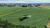 Fazenda-Sítio-Chácara, 126 hectares - Foto 6