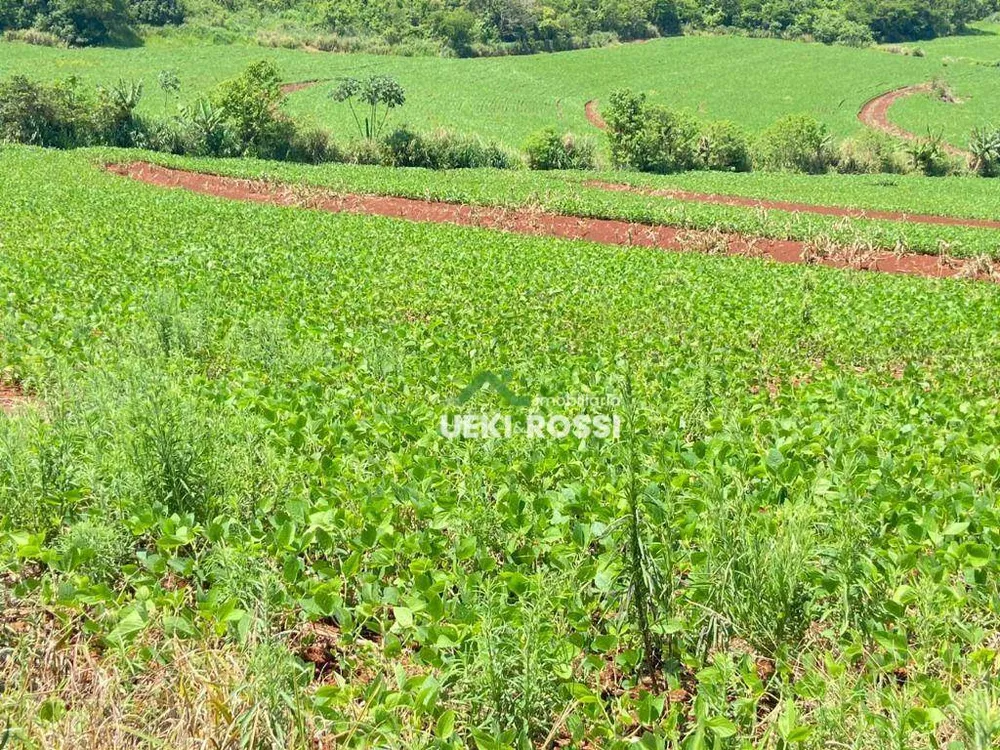 Sítio, 12 hectares - Foto 13