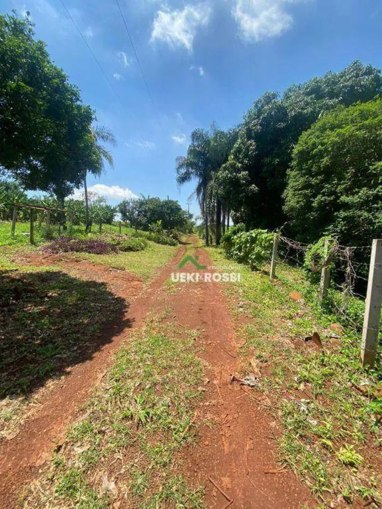 Sítio, 12 hectares - Foto 17