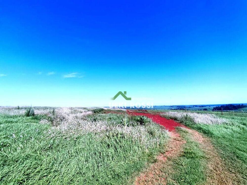 Terreno, 27 hectares - Foto 6