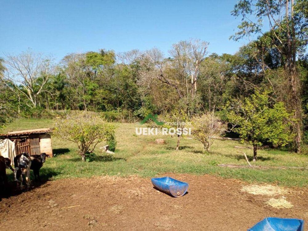 Chácara à venda com 3 quartos, 6000M2 - Foto 7