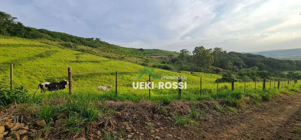 Chácara, 4 hectares - Foto 1