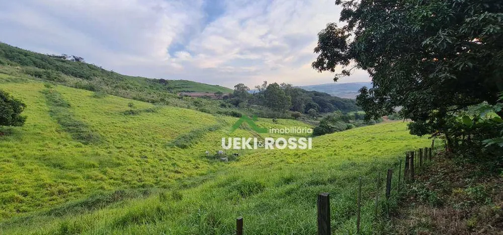 Chácara, 4 hectares - Foto 10