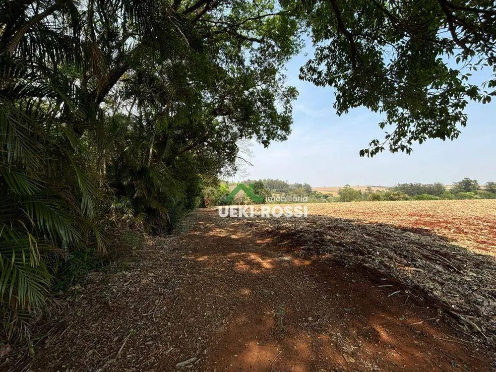 Sítio, 24 hectares - Foto 20