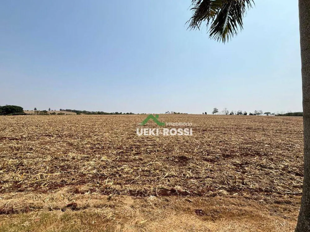 Sítio, 24 hectares - Foto 19