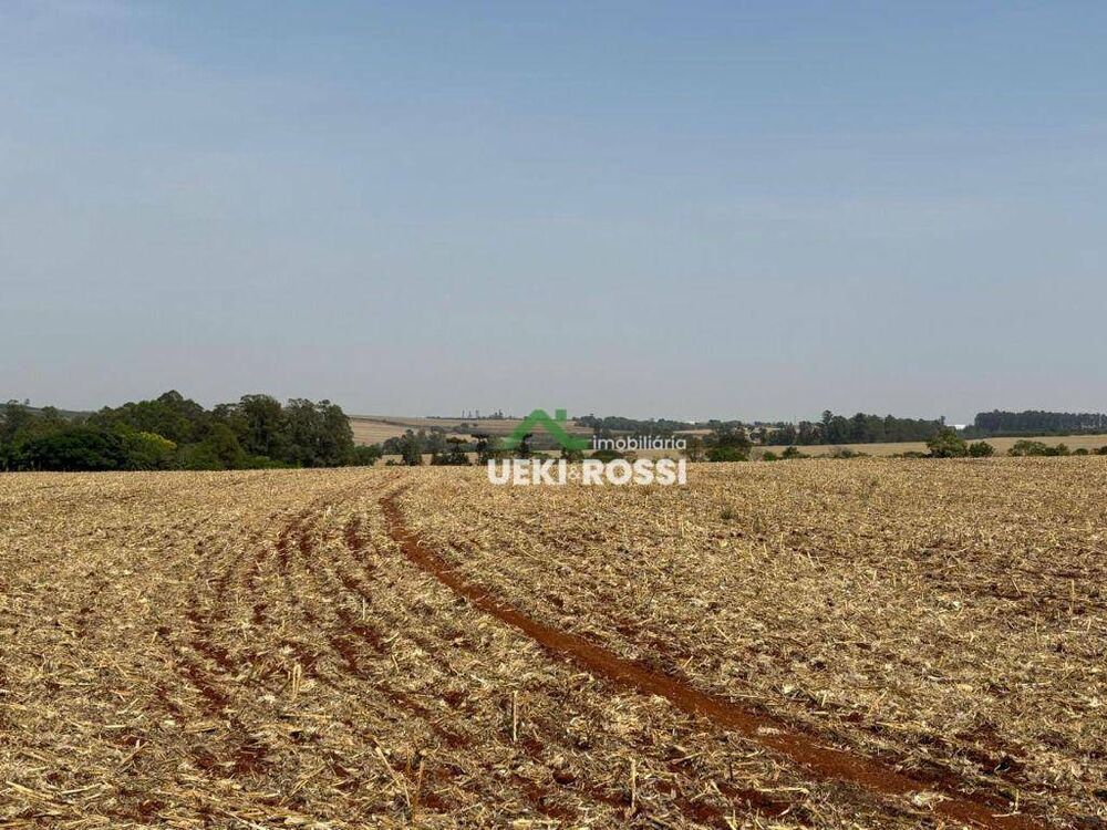 Sítio, 24 hectares - Foto 3