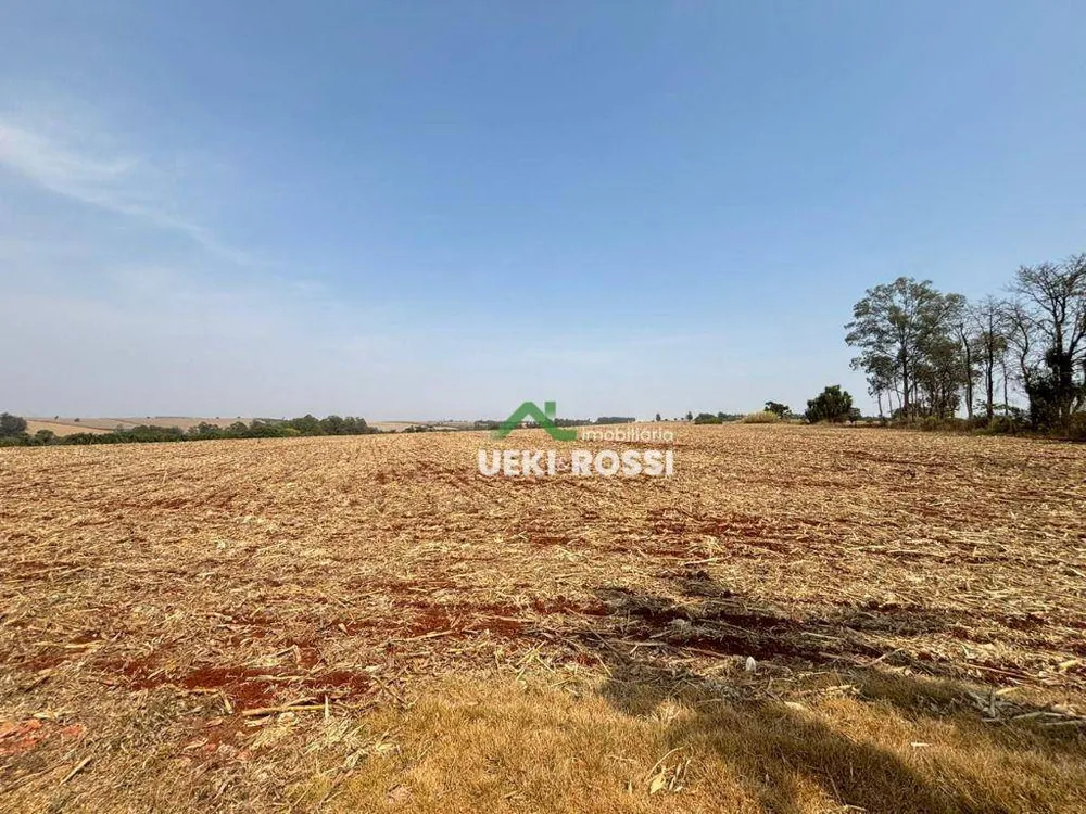 Sítio, 24 hectares - Foto 12