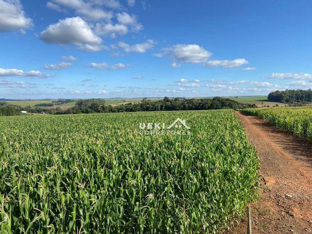 Sítio, 24 hectares - Foto 1