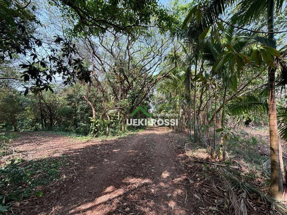 Sítio, 24 hectares - Foto 24