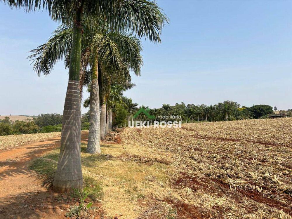 Sítio, 24 hectares - Foto 5