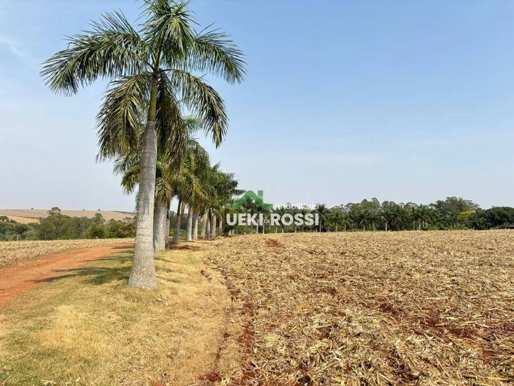 Sítio, 24 hectares - Foto 15