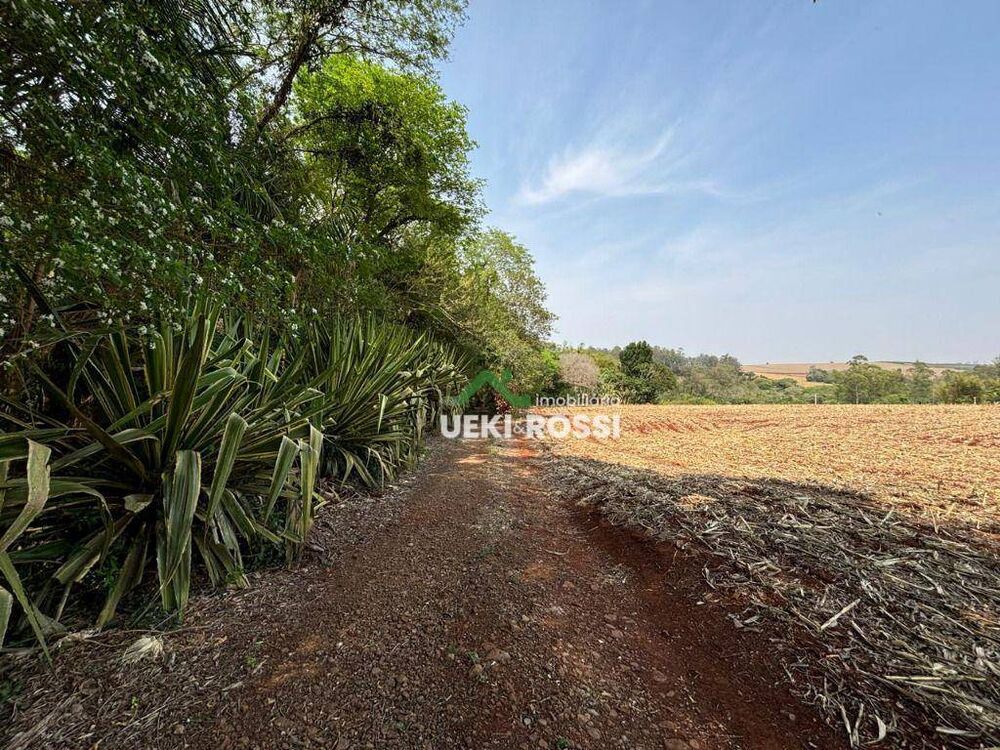 Sítio, 24 hectares - Foto 7