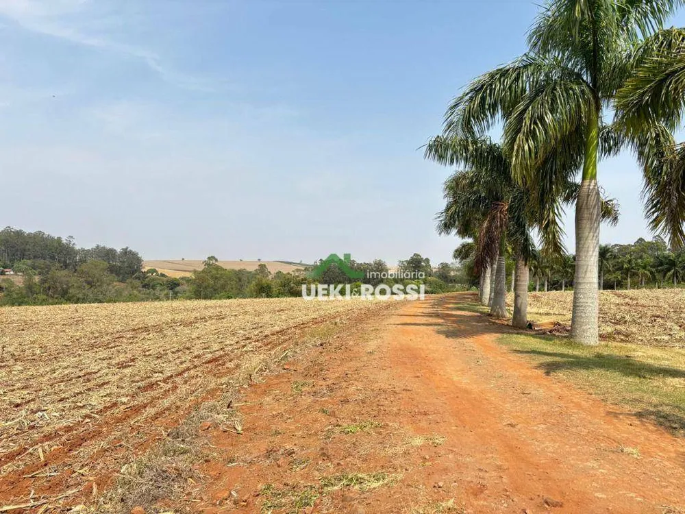 Sítio, 24 hectares - Foto 16