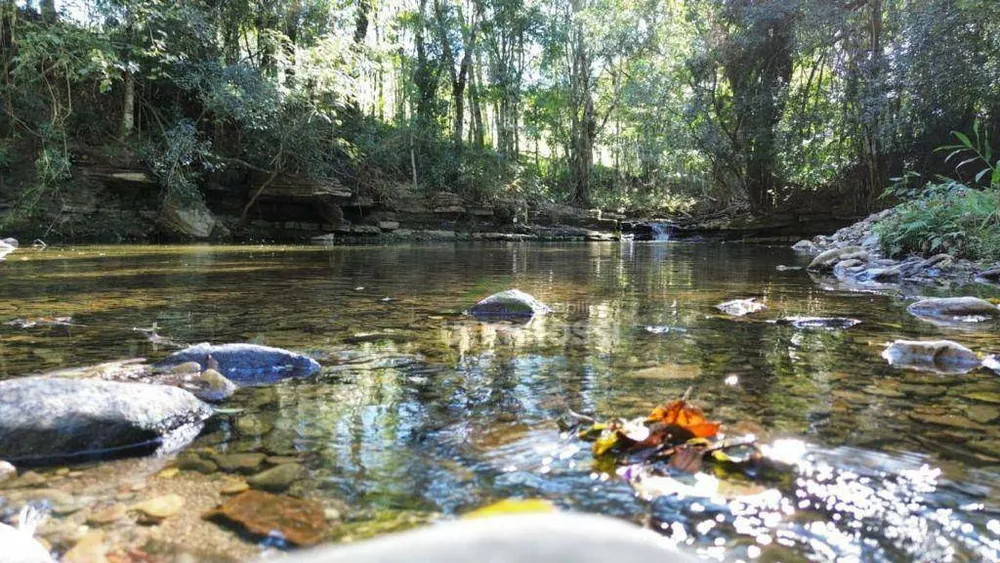 Fazenda, 387 hectares - Foto 11