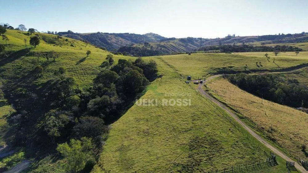 Fazenda, 387 hectares - Foto 7