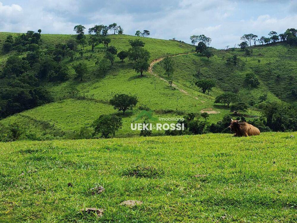 Fazenda à venda, 3872000M2 - Foto 4