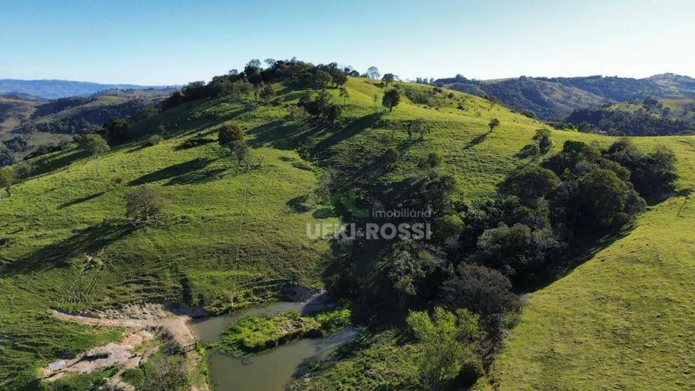 Fazenda, 387 hectares - Foto 12