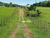 Fazenda, 387 hectares - Foto 3