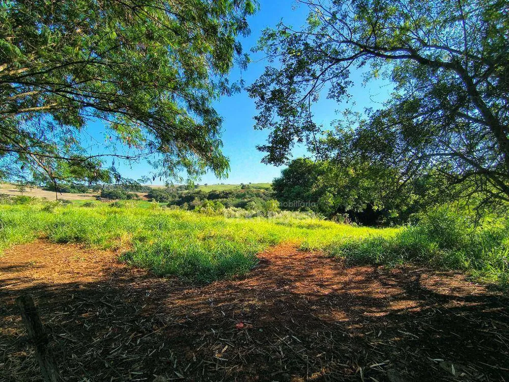 Terreno, 4 hectares - Foto 4