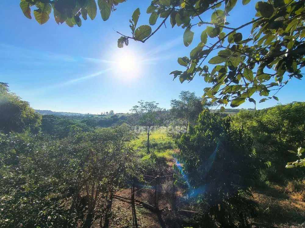 Terreno, 4 hectares - Foto 1