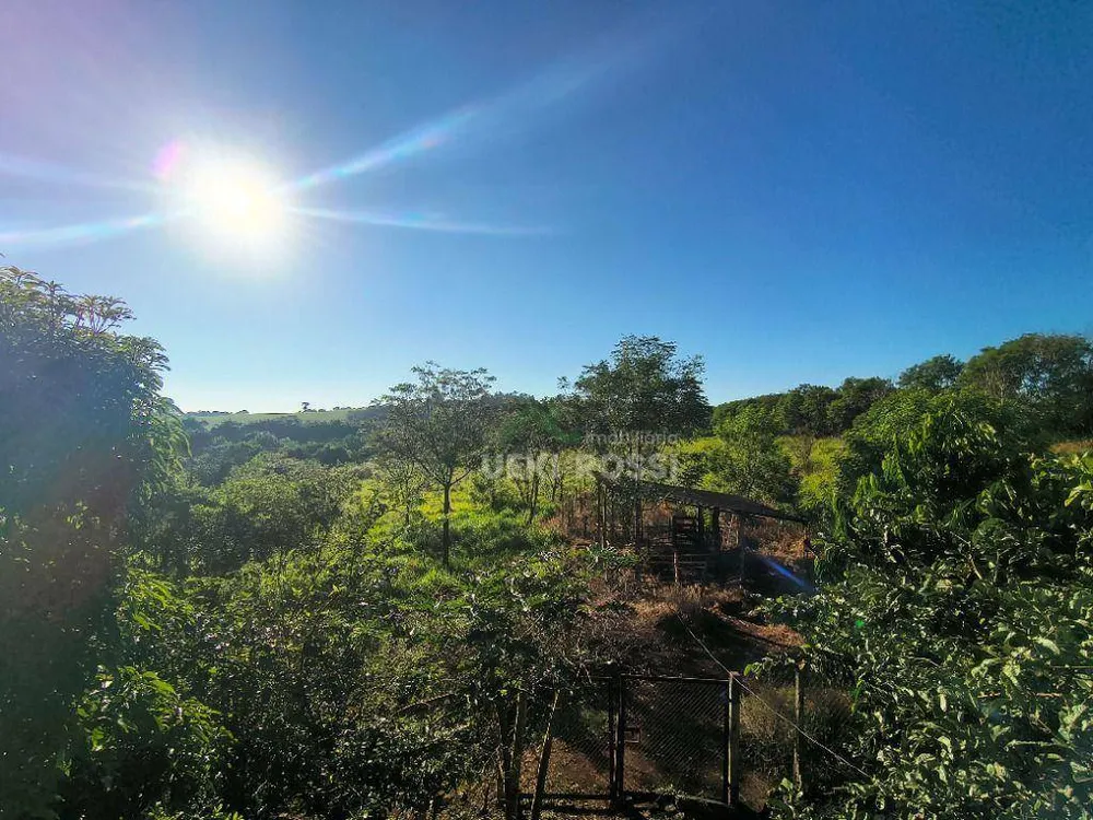 Terreno, 4 hectares - Foto 3