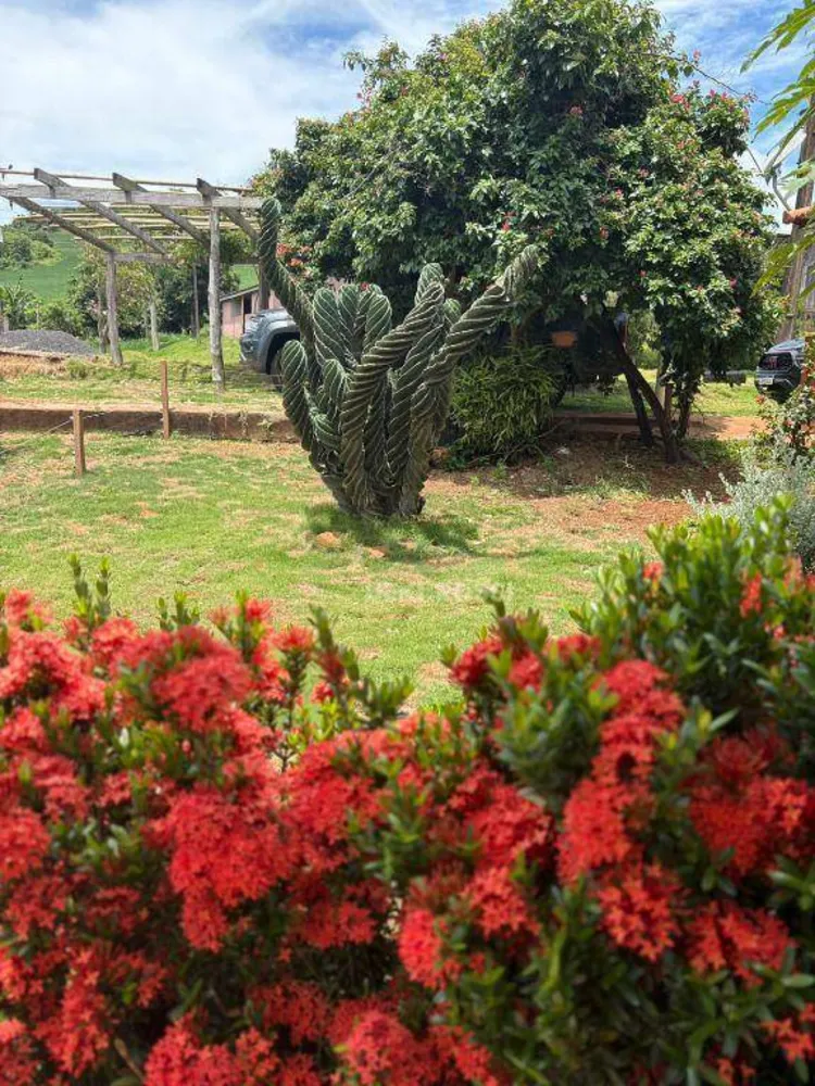 Sítio, 3 quartos, 20 hectares - Foto 24