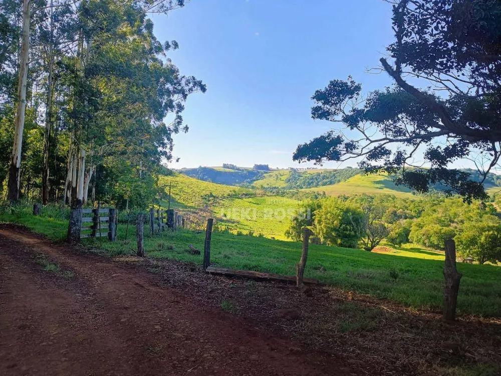 Fazenda, 528 hectares - Foto 10