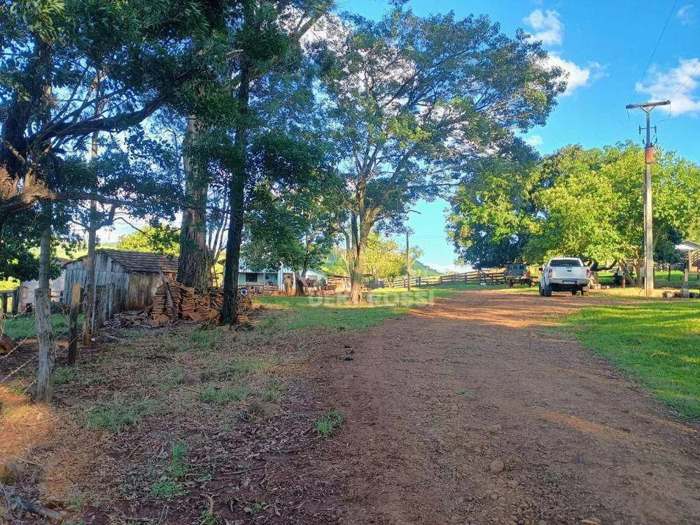 Fazenda, 528 hectares - Foto 5