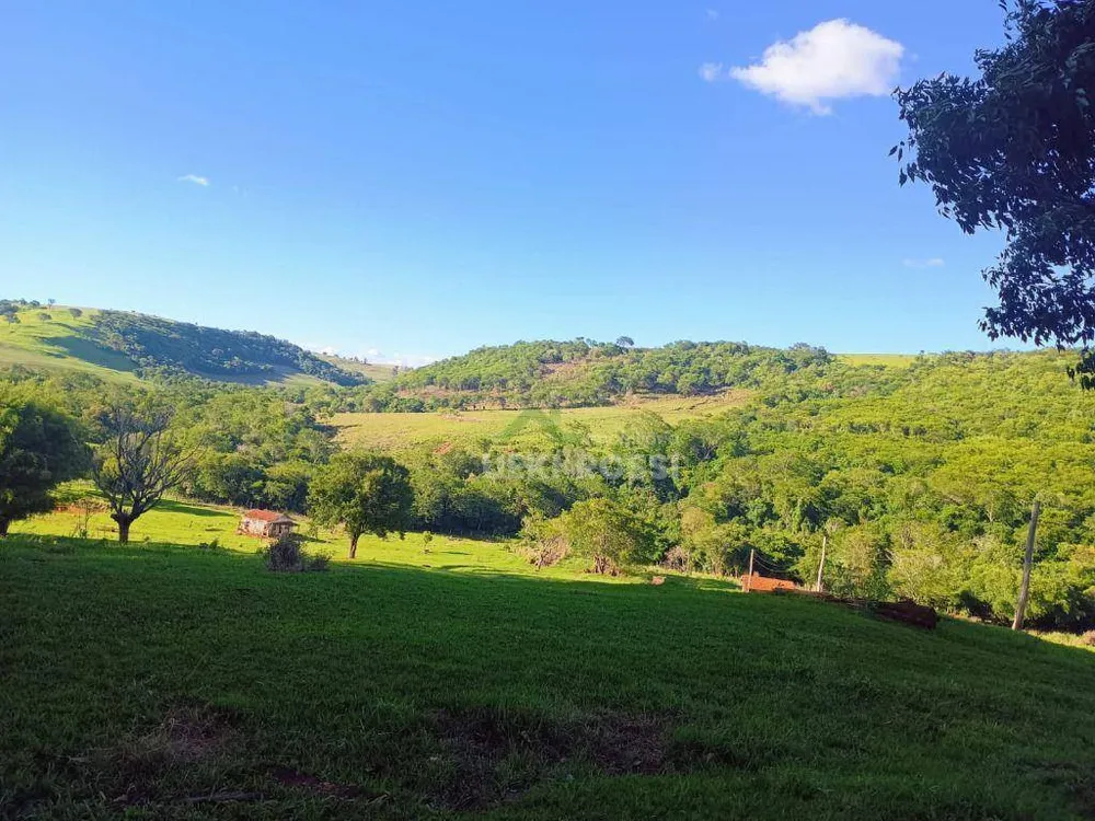 Fazenda, 528 hectares - Foto 6