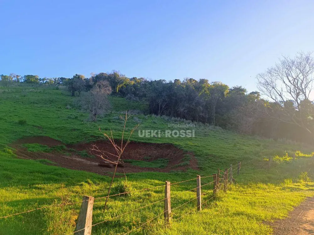 Fazenda, 528 hectares - Foto 4