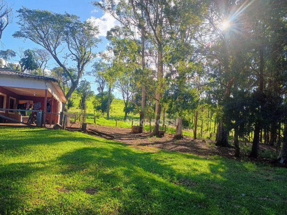 Fazenda, 528 hectares - Foto 8