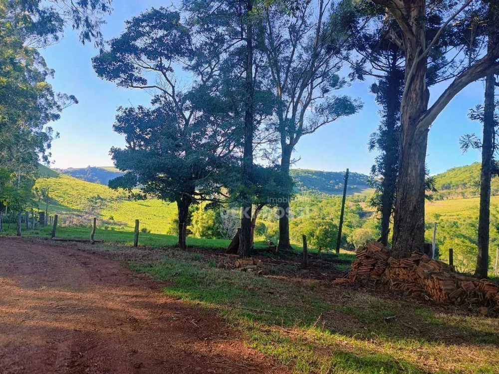 Fazenda, 528 hectares - Foto 9