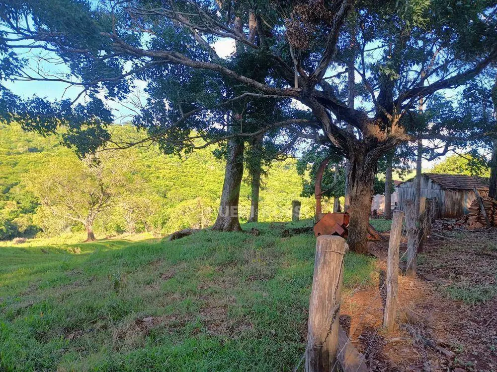 Fazenda, 528 hectares - Foto 7