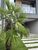 Sobrado, 3 quartos, 147 m² - Foto 11
