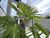 Sobrado, 3 quartos, 147 m² - Foto 2