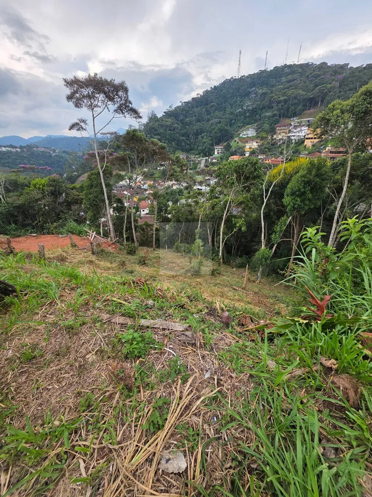 Terreno, 602 m² - Foto 4