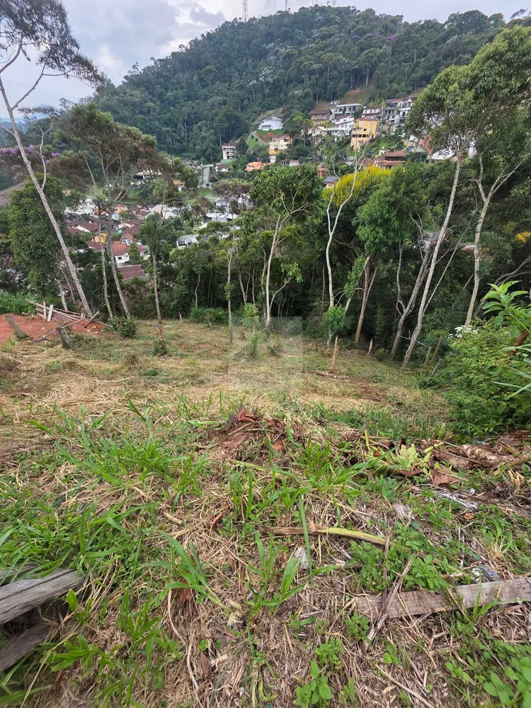 Terreno, 602 m² - Foto 7