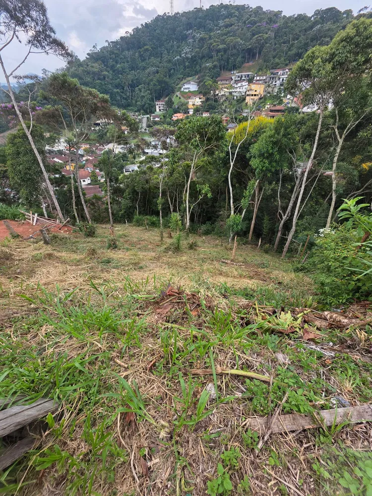 Terreno, 602 m² - Foto 8