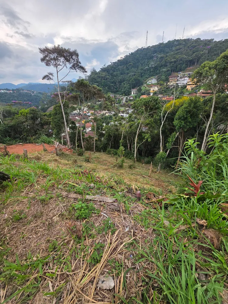 Terreno, 602 m² - Foto 5