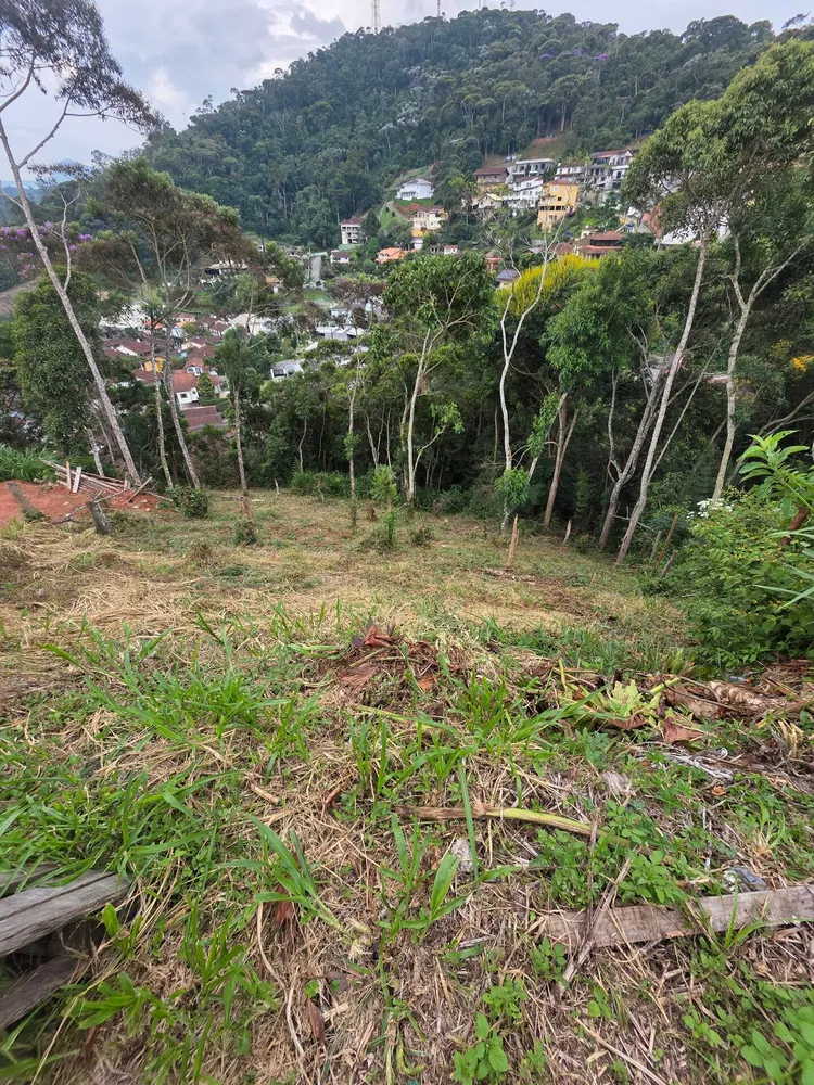 Terreno, 602 m² - Foto 8