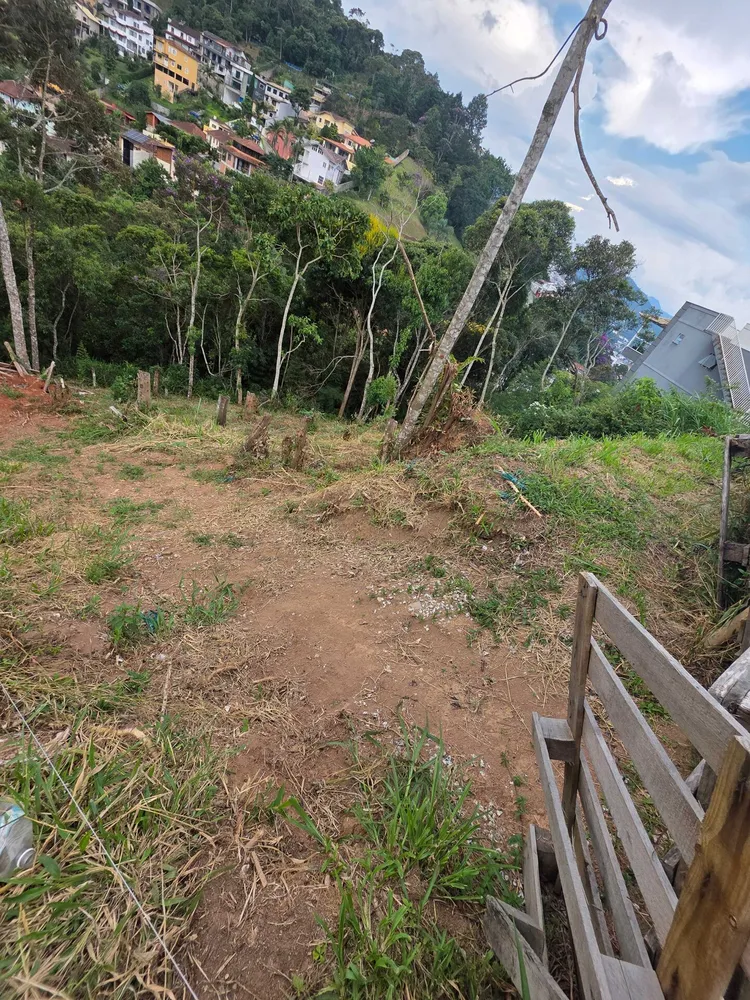 Terreno, 602 m² - Foto 6