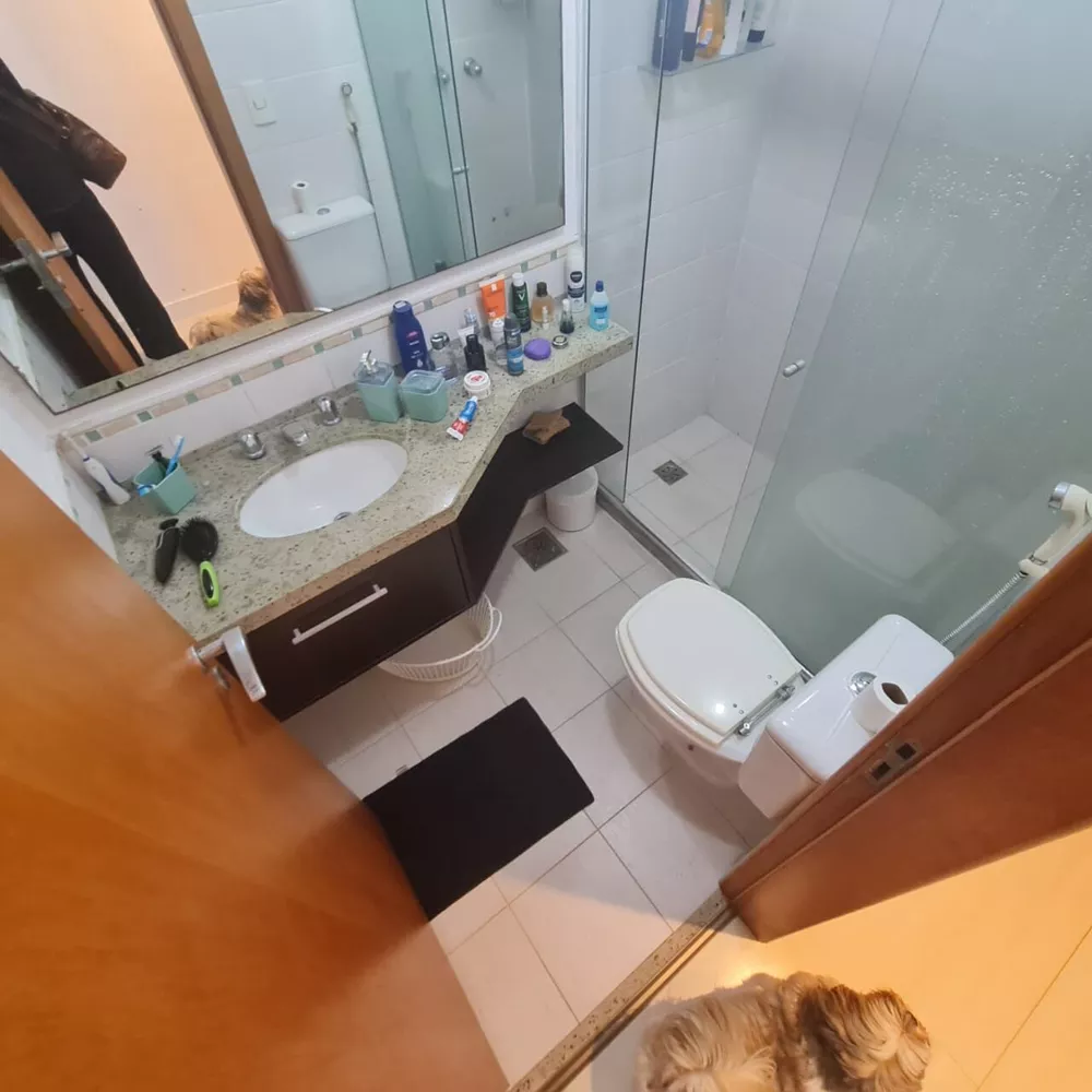 Apartamento, 4 quartos, 185 m² - Foto 23