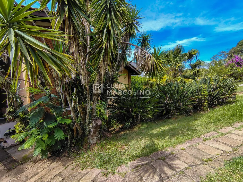 Chácara, 3 quartos, 1260 m² - Foto 3